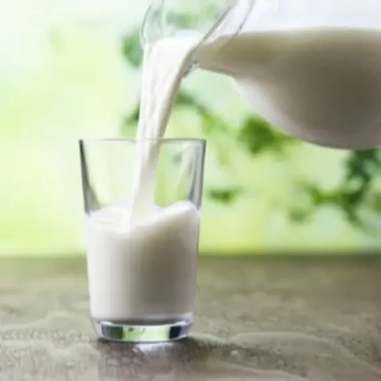 Cow Milk